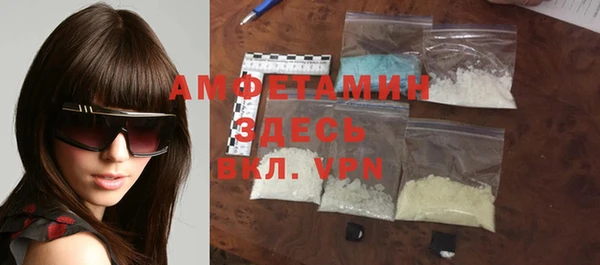 индика Арсеньев