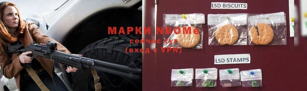 PSILOCYBIN Инсар