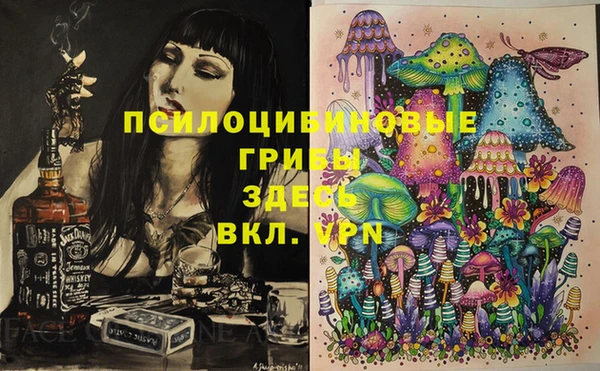 дживик Алзамай