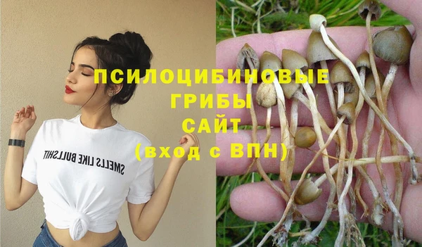 кокс Алексеевка