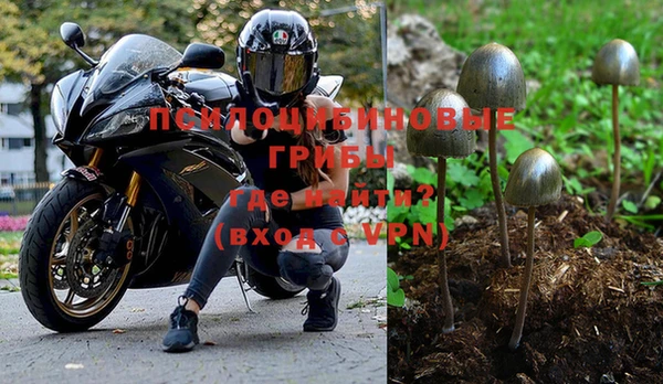 твердый Аркадак