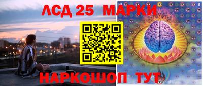 шишки Боровичи