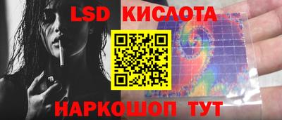 шишки Боровичи