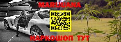 шишки Боровичи