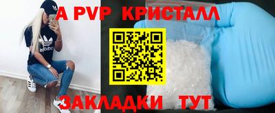 шишки Боровичи
