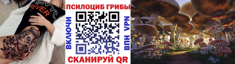 закладки  Гуково  Псилоцибиновые грибы ЛСД 