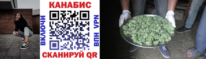 закладки Гуково Канабис индика